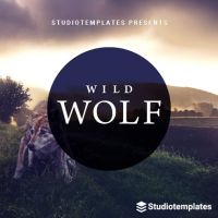 Wild Wolf