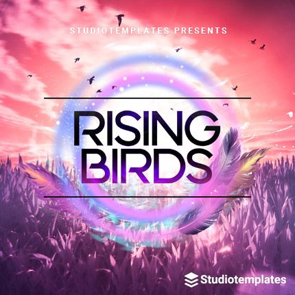 Rising Birds